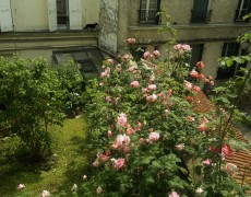 English copywriter in Paris: inspiration & chocolate brioche Part II