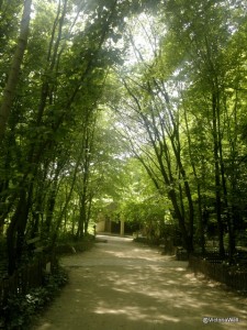 Jardin Naturel - Calm in Paris