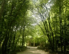 English copywriter in Paris: moments of uncomplicated calm in Paris